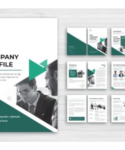 Thiết kế Hồ sơ năng lực, Profile Company