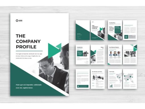 Thiết kế Hồ sơ năng lực, Profile Company